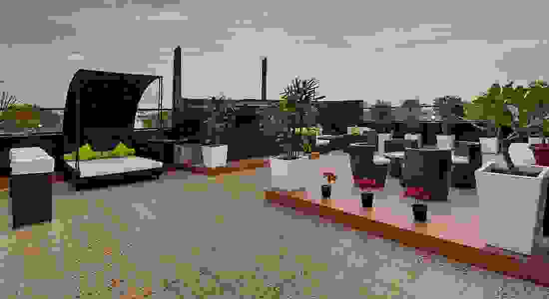 The Pamposh