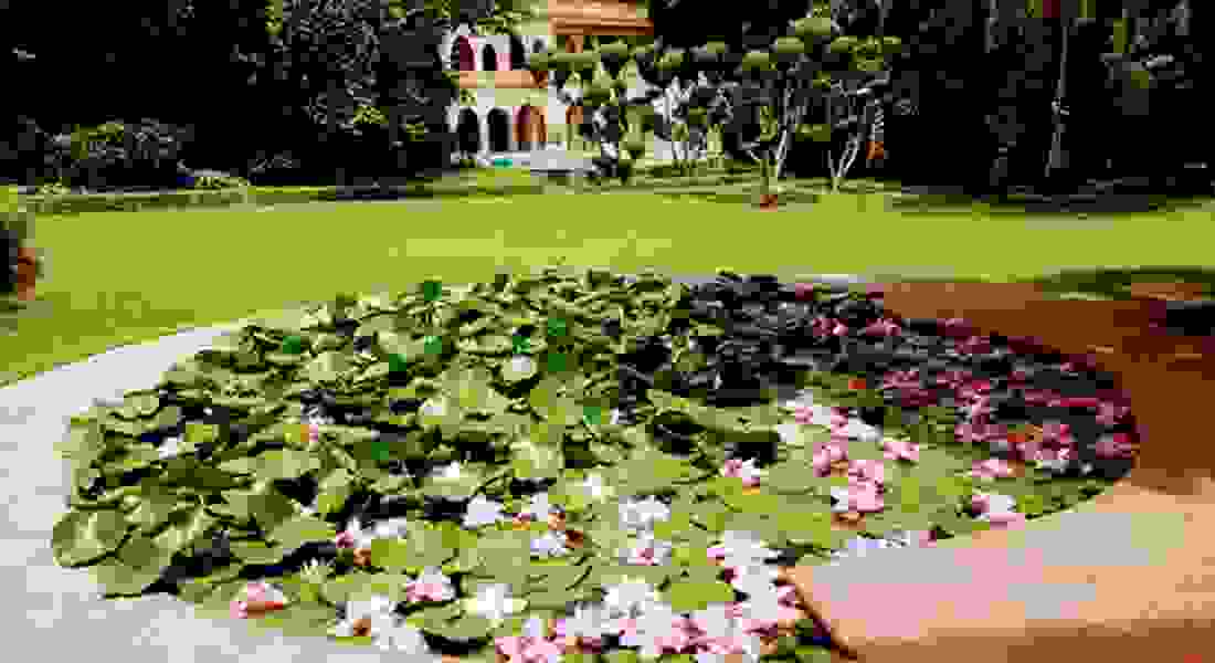 The Banyan Farm