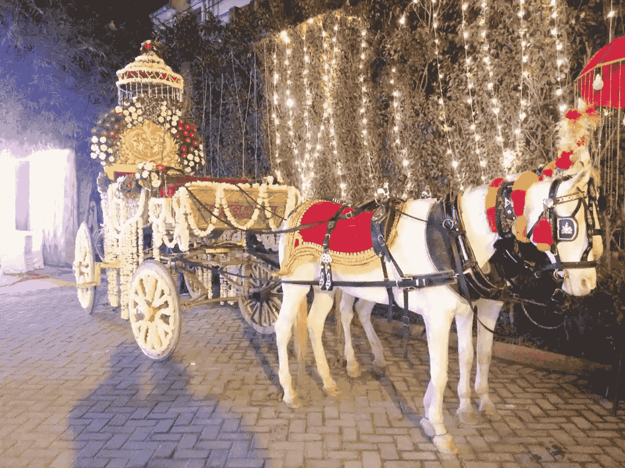 wedding band in west delhi