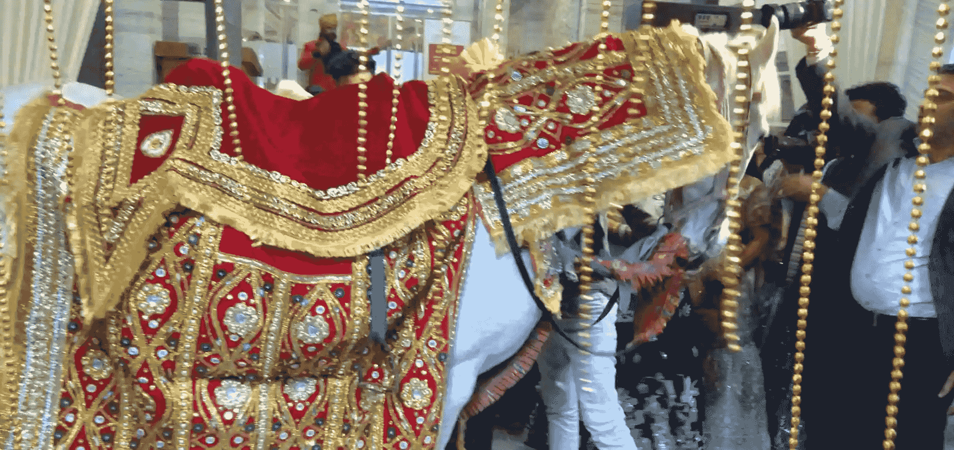 wedding band in dwarka