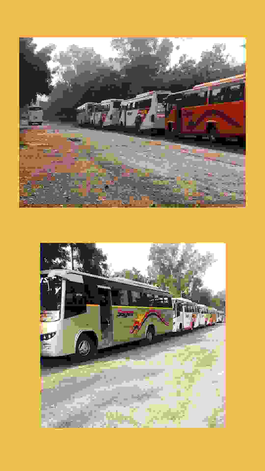 wedding transportation vintage cars in east of kailash