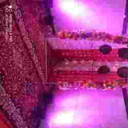 wedding decorators in pitampura