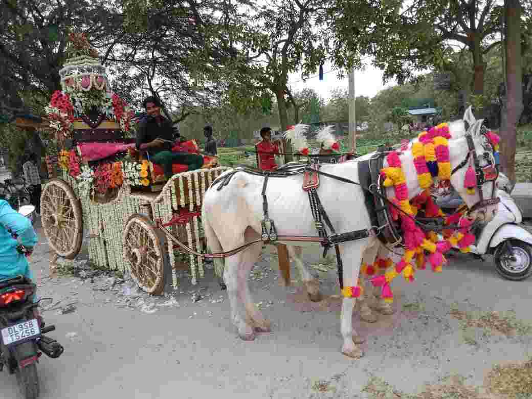 wedding band in janakpuri