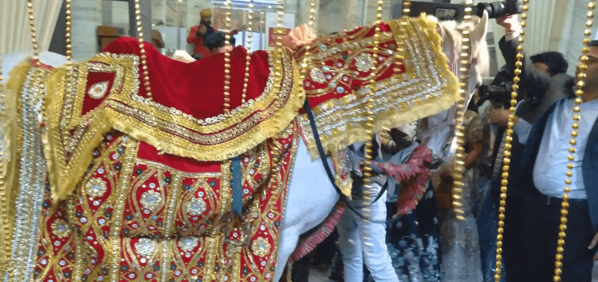wedding band in dwarka