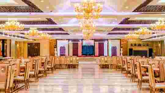 Striplex Banquet