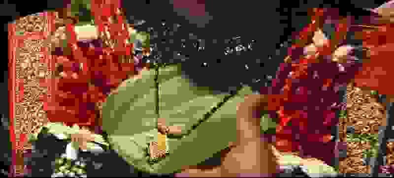 wedding photographers in shalimar bagh