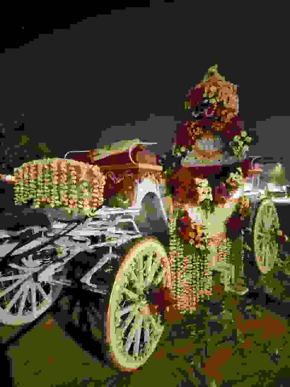 wedding band in sector 6