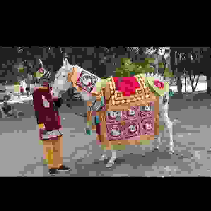 wedding band in gurgaon