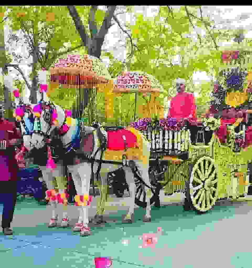 wedding band in sector 49