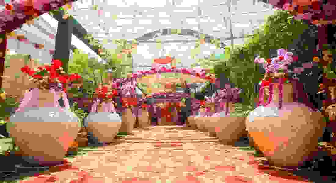 The Great Callina Banquet Hall