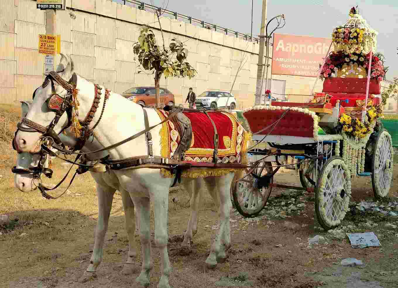 wedding band in ashok vihar phase 3