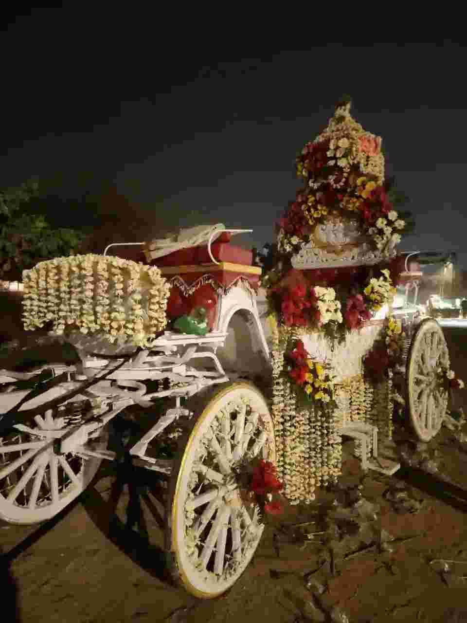 wedding band in sector 6