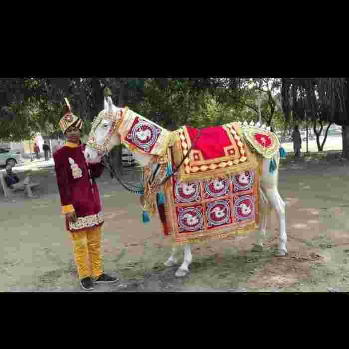 wedding band in gurgaon