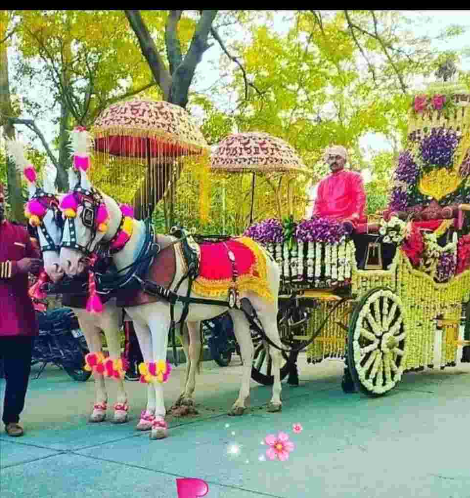 wedding band in sector 49