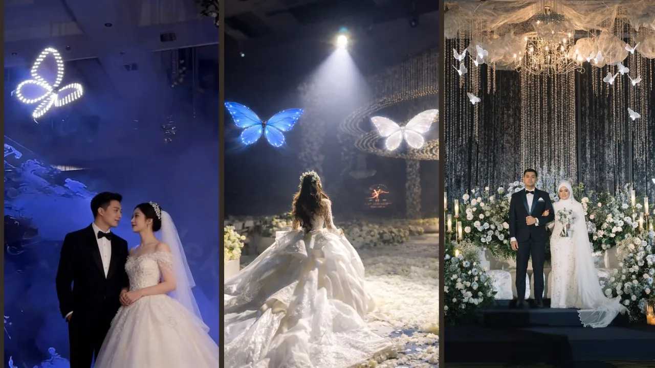 butterfly drone trend,Decoration for the Stage and Hall,Does it Cost a Lot