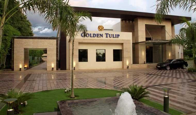 Golden Tulip