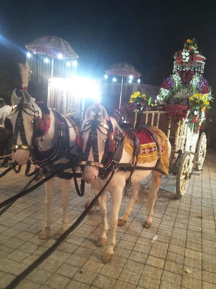 Ahuja Ghori Baggi And Band Wale, Old Faridabad, Faridabad