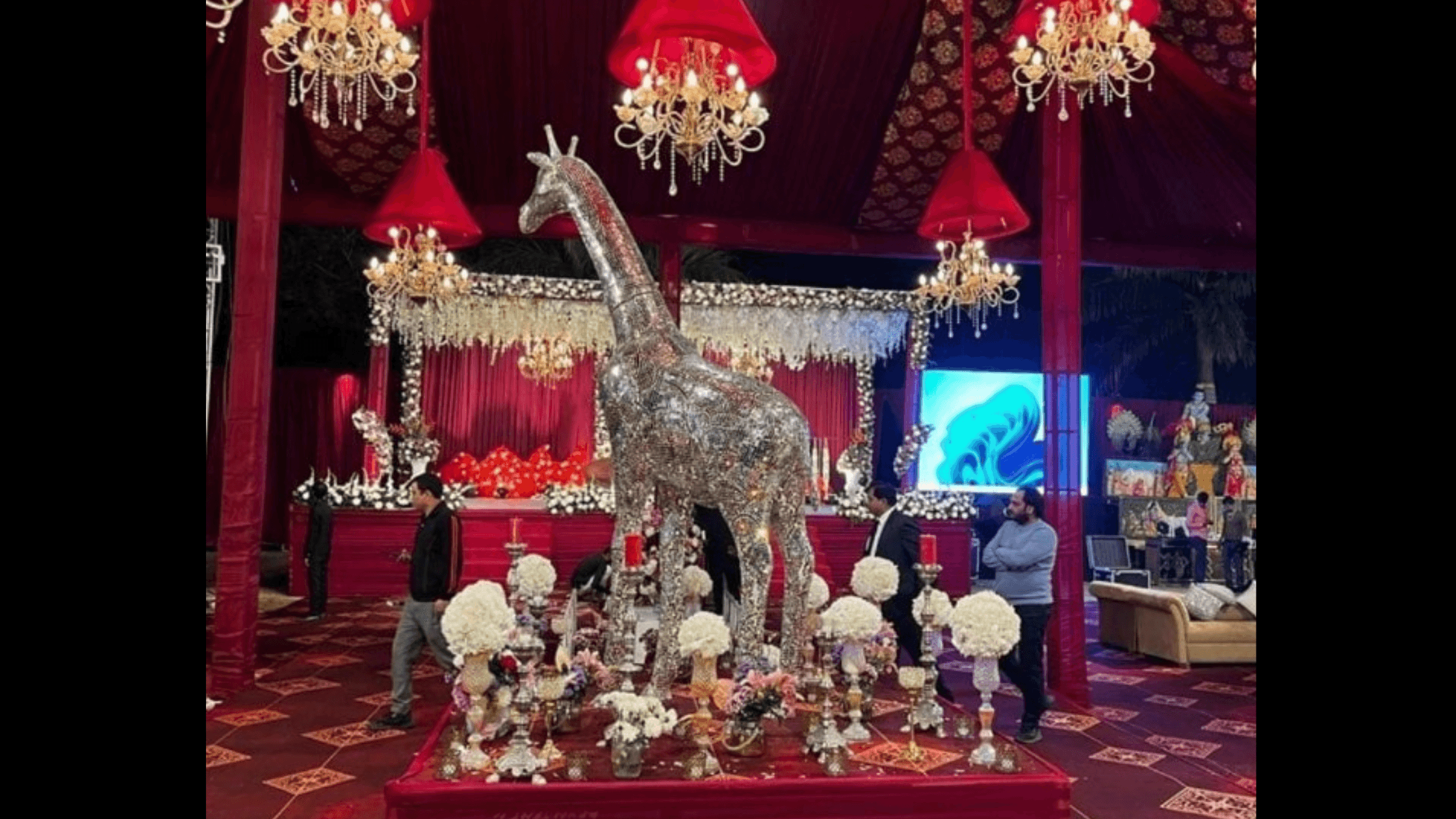 Grace Events & Tent Decorators