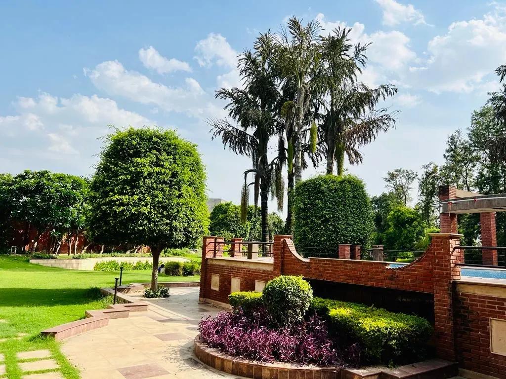 The Vintage Aarone Farms